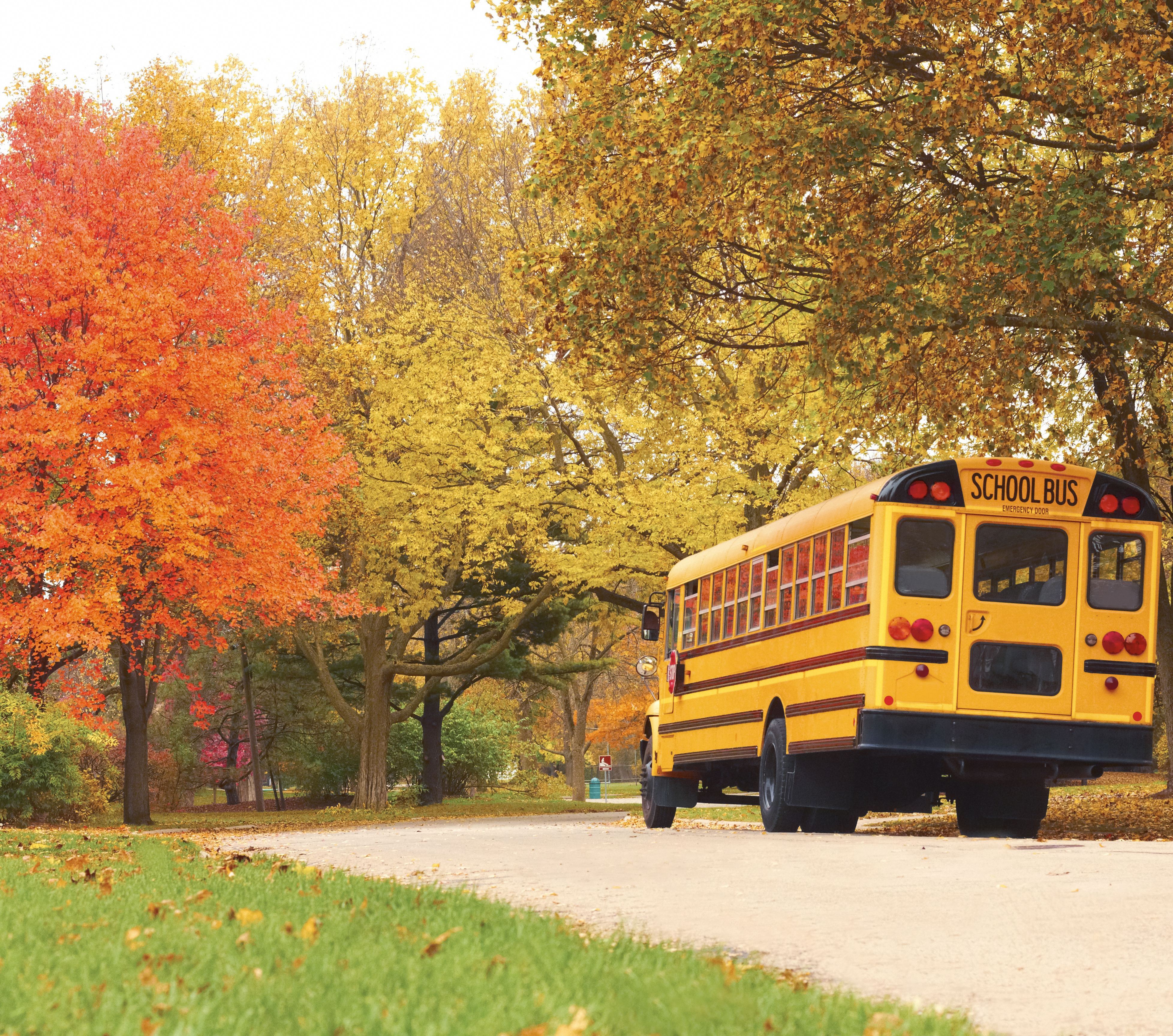 Stopping Trafficking How School Bus Drivers Can Help Save a Child