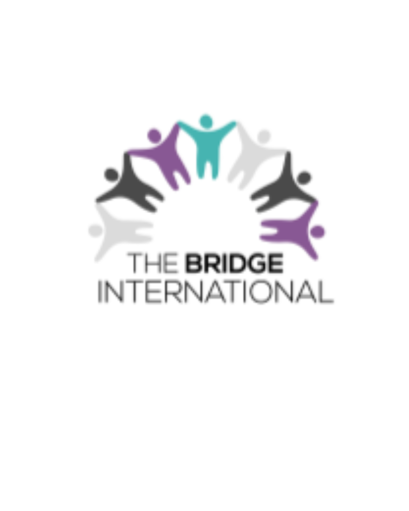 The bridgge international